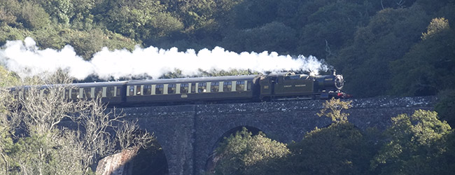 The Dartmouth to Paignton Steam Train